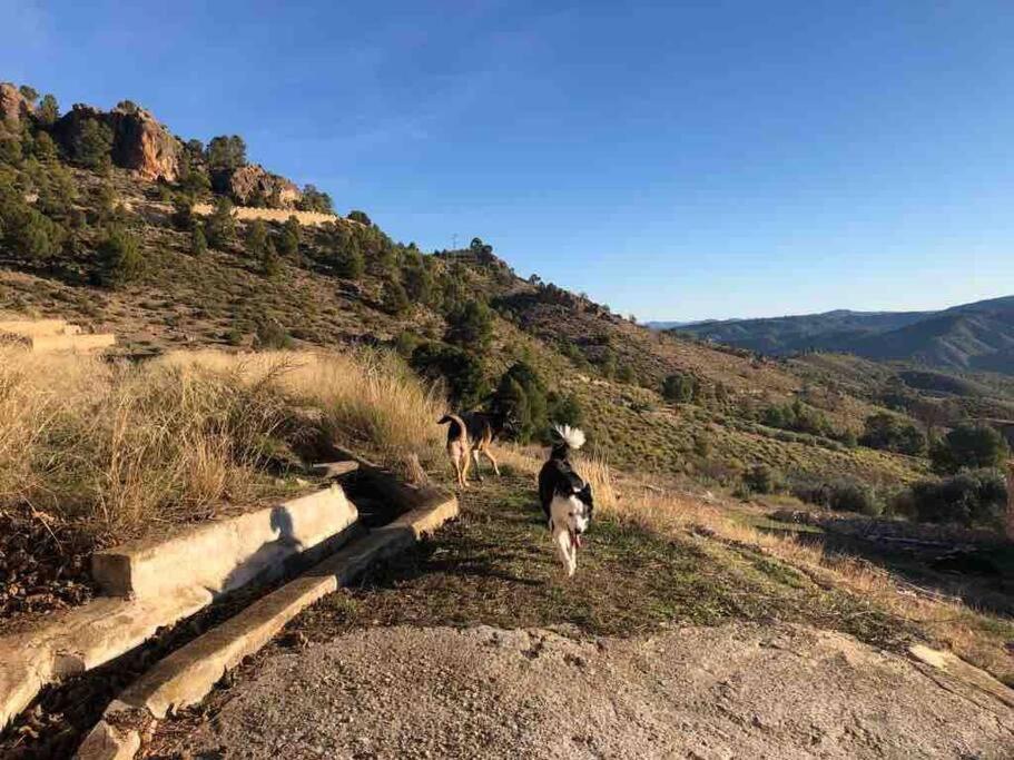 Casa Rural Con Encanto Senorio Manchego Albacete Yeste Exteriér fotografie